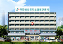 移動式塑料水份儀